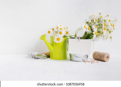 Home Interior And Garden Concept With Summer Flowers In A Metal Bucket On A Light Background