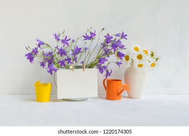 Home Interior And Garden Concept With Summer Flowers In A Metal Bucket On A Light Background