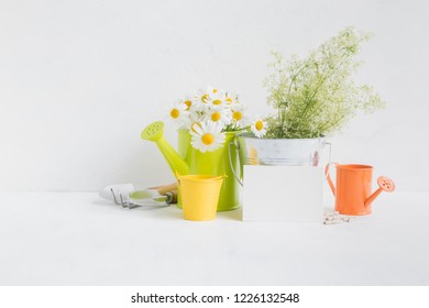 Home Interior And Garden Concept With Summer Flowers In A Metal Bucket On A Light Background