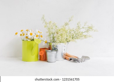 Home Interior And Garden Concept With Summer Flowers In A Metal Bucket On A Light Background