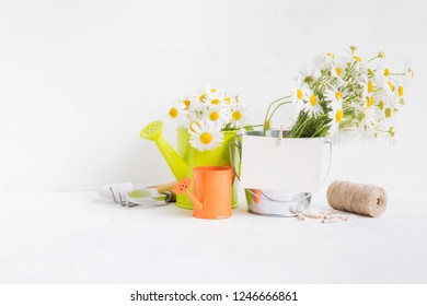 Home Interior And Garden Concept With Summer Flowers In A Metal Bucket On A Light Background