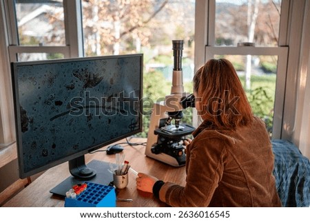 Home lab testing soil samples for soil life biology microorganisms in compost with a microscope, looking at nematodes in Tasmania Australia, organic regenerative agriculture compost