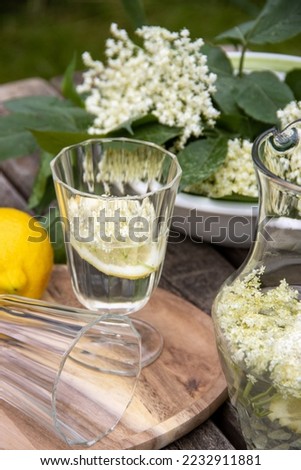 Home lemonade of fragrant flowers of black elderberry and lemon, natural products, environmental products