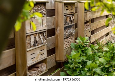 Home Made Bee Hotel, In Dutch Garden, Mounted On A Typical Wooden Garden Fence. Bee Hotels Are Places For Solitary Bees To Make Their Nests. These Bees Live Alone, Not In Hives.