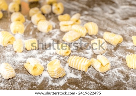 Home Made Pasta - Little Shells, Conchigliette, in Italian Kitchen