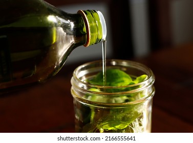 home made pesto basil oil for aroma therapy or cooking italian cuisine fresh homegrown healthy organic natural lifestyle basilico olive oil and grape seeds oil massage