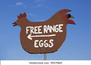 a home made rustic sign in the shape of a chicken advertising free range eggs