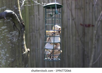 Home Made Suet Cake In The Bird Feeder