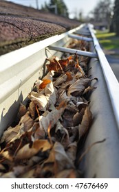 Home maintenance: Fall leaves in rain gutter.