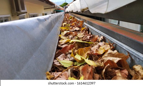 Home Maintenance Problem: House Rooftop Rain Gutter Full Of Dry Leaves