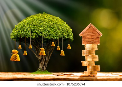 Home Model Put On The Stacking Gold Coins And Money Bag Of Tree With Growing In The Public Park, Business Investment Or Loan As Working Capital Management For Real Estate Concept.