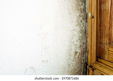 Home Mold Inspection. Black Mold On The Wall In The Corner Of The Room.