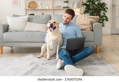 Home Office. Cheerful male freelancer sitting in the living room using laptop, patting his dog, copy space