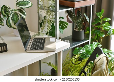 Home Office Decorate With Green Nature Tree Plants, Workspace And Laptop Computer On Desk, Artificial Houseplant For Home And Living Room Interior.