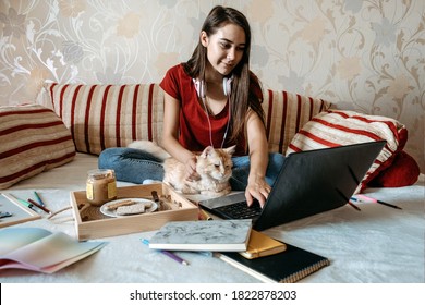 Home Office, Work Space, Work From Home Concept. Young Woman With Laptop And Cat Working At Sofa. Flexible Work Hours.