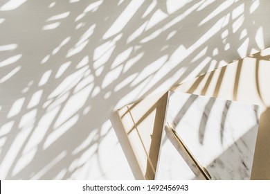 Home Office Workspace Background With Notebook On White Background With Plant Shadow. Flat Lay, Top View Minimal Stylish Lady Boss Business Lifestyle Concept.