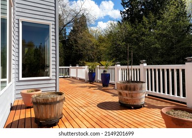 Home Outdoor Cedar Wood Backyard Deck Just Freshly Stained During Early Spring Time With Trees And Sky In Background 