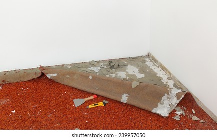 Home Renovation, Carpet Remove In A Room