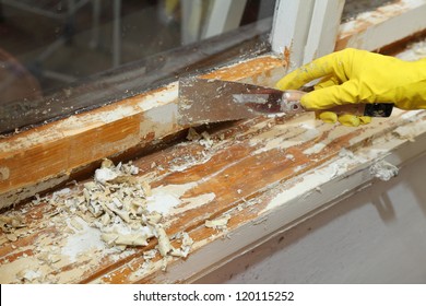 Home Renovation, Worker Remove Paint With Scraper