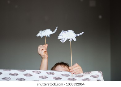 A Home Show. The Child Plays With Paper Animals On Sticks.