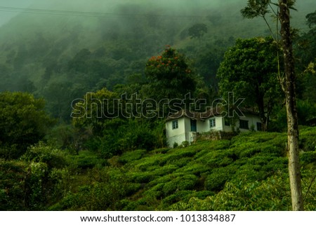 A home stay in a tea estate in the district Wayanad (Kerala). This estate falls in the way to Chembra Peak which is the highest point in the town and is also a famous trekking point in western ghats.