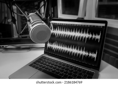 Home Studio: Microphone And Wave Form On Laptop Screen