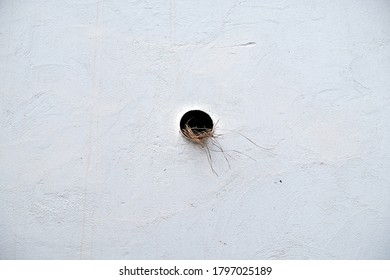 Home sweet home concept, a bird's nest in a vent hole.