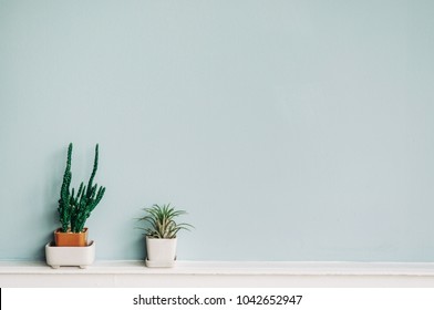 Home Tillandsia And Cactus In Small Pot On Pastel Blue Wall Background, Vertical