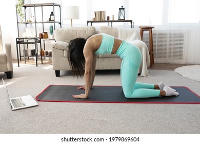 Home Training. Sporty Black Woman Exercising At Laptop. Online Training.