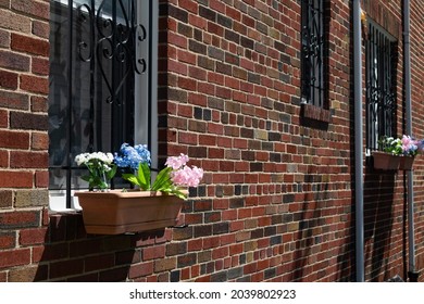 Home Window Sill Flower Box with Colorful Fake Flowers in Astoria Queens New York
