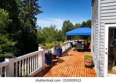 Home Wood Deck With Patio Furniture And Plants For The Perfect Summer Season Backyard