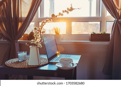 Home work place with laptop, cup of hot drink and blooming brunch in vase on coffee table near window on sunset or sunrise. Freelance, working from home, online learning, home office. Slow living