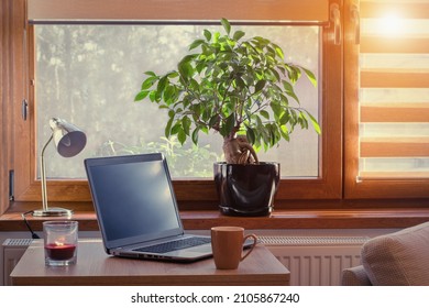 Home Working Place With Laptop. Cozy Home Interior In The Warm Window Light Through Blinds.