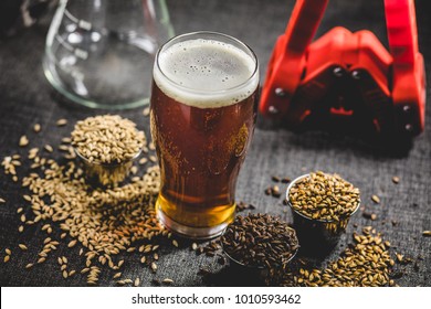 Homebrew Honey Brown Beer, Different Barley and Brewing Equipment in Studio with Dramatic Light