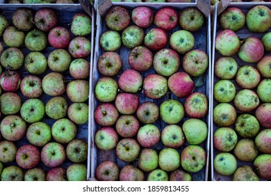 Perfect apple Images, Stock Photos & Vectors  Shutterstock