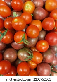 Homegrown Cherry Tomatoes. Red And Purple Tomatoes.