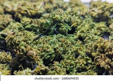 Homegrown recreational legal marijuana buds.  