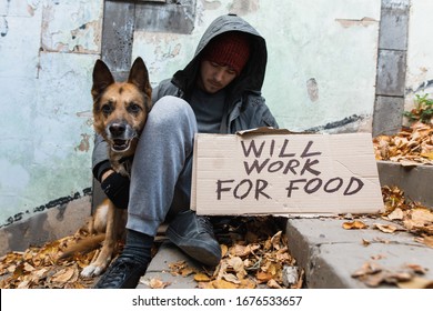 Homeless Man With A Dog And A Sign