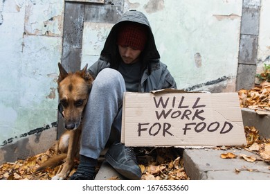 Homeless Man With A Dog And A Sign