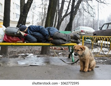 10,794 Dog homeless person Stock Photos, Images & Photography ...