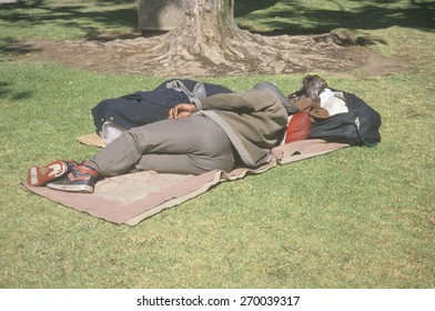 Homeless man sleeping in park, Los Angeles, California