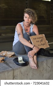 703 Homeless woman holding sign Images, Stock Photos & Vectors ...