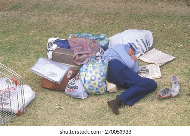Homeless woman sleeping in a park, Los Angeles, California