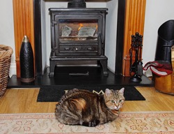 Homely Scene Of A Tabby Cat Sitting On A Rug In Front Of A Blazing Wood-burning Stove
