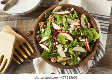 Homemade Autumn Apple Walnut Spinach Salad with Cheese and Cranberries