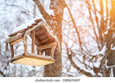 Homemade Bird Feeder. Helping Birds In Winter