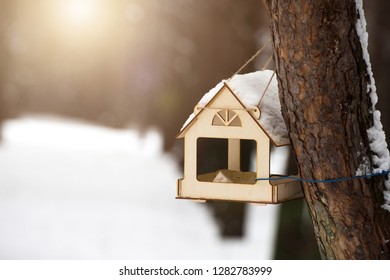 Homemade Bird Feeder. Helping Birds In Winter Forest