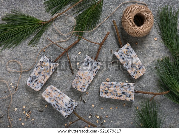 Homemade Bird Feeders Popsicle Shaped Bird Royalty Free Stock Image