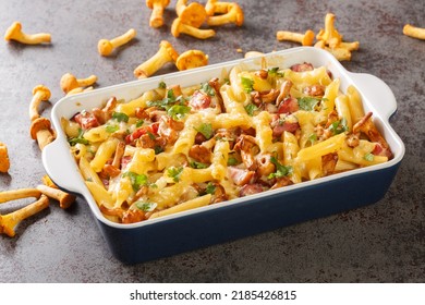 Homemade casserole with pasta, mushrooms, bacon and cheese served hot from the oven on the table. Horizontal - Shutterstock ID 2185426815