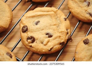 Homemade Chocolate Chip Cookies Cooling on a Rack	 - Powered by Shutterstock